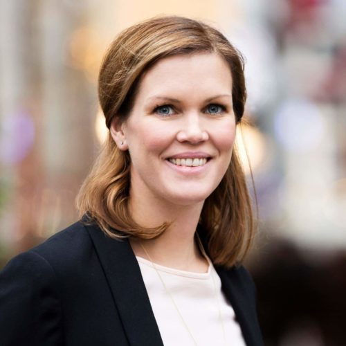 blue and brown steel bridge