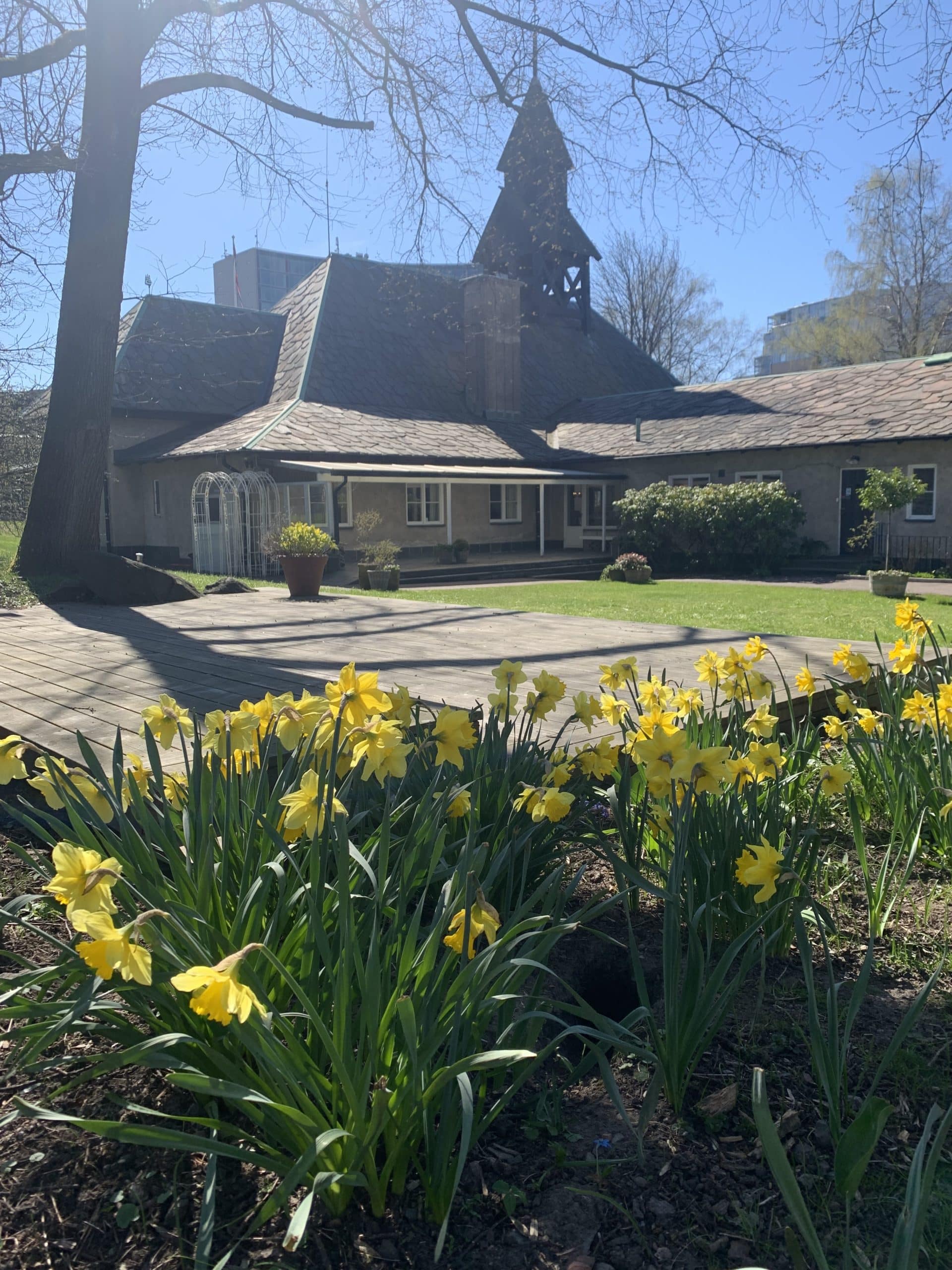 blue and brown steel bridge